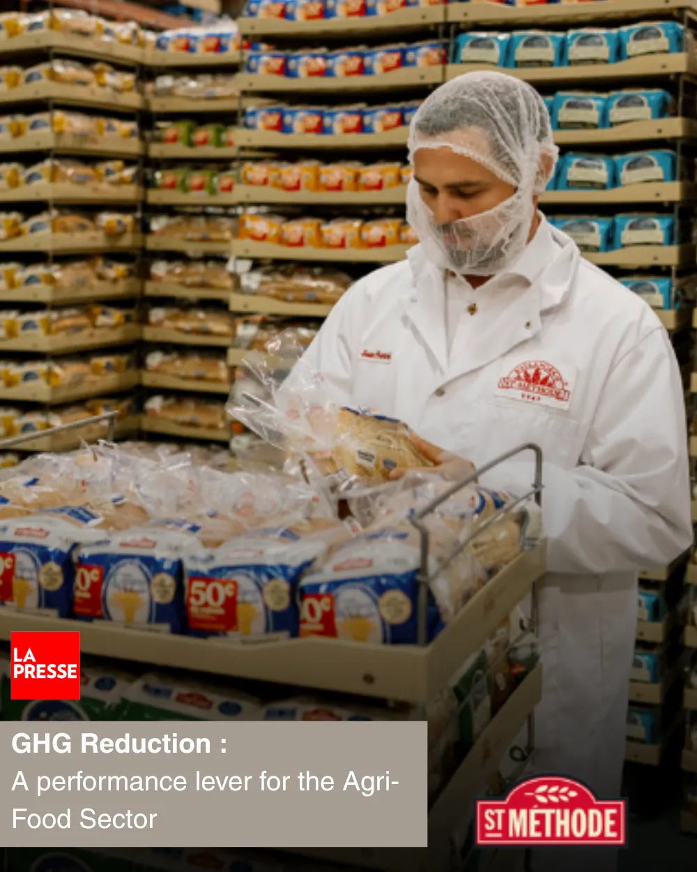 Malýýe Dolandyrylyş Webinari