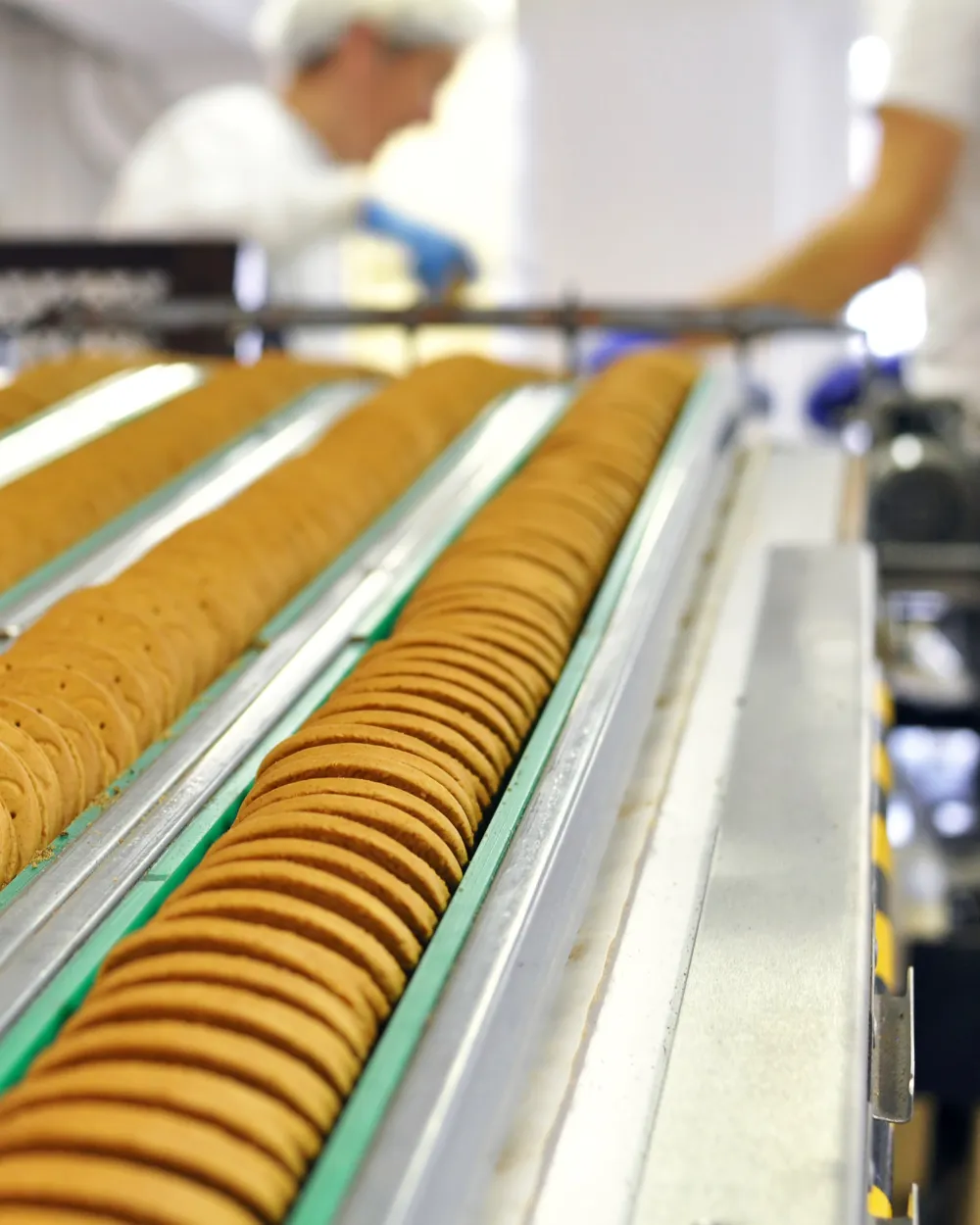 Çeşme Zanjyrynyň Optimizasiýa Seminari